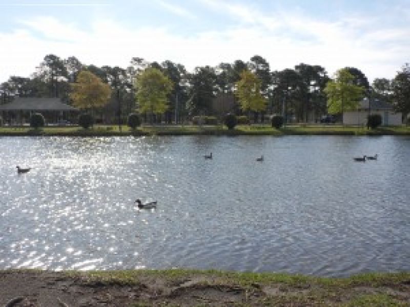 Ogden Park New Hanover County Parks Wilmington, NC